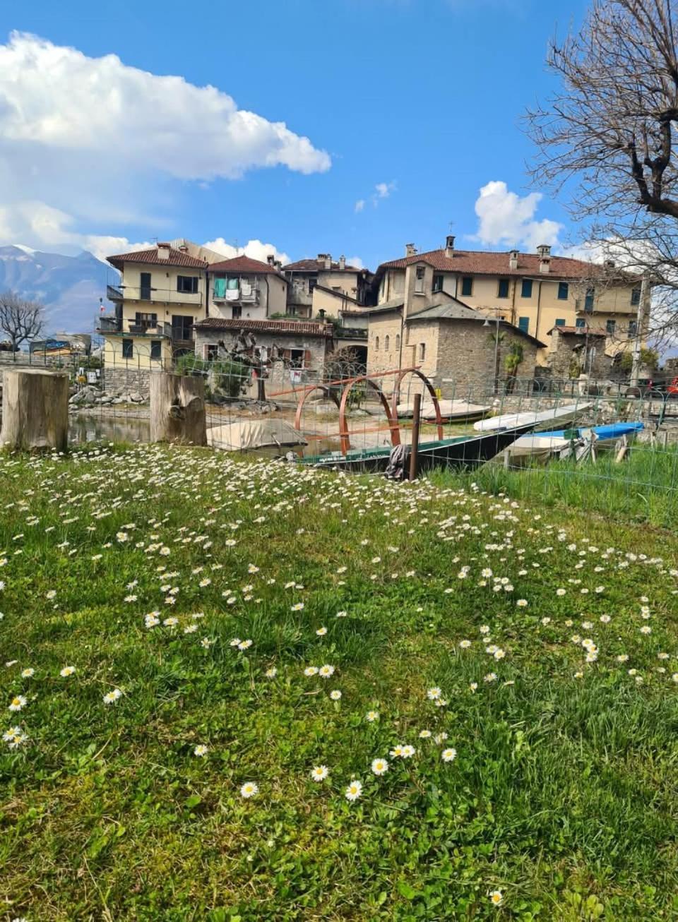 Apartment L'Ulivo Lake View In Private Street Lierna Exterior photo
